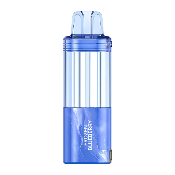 Fogger Pod Frozen Blueberry 5%